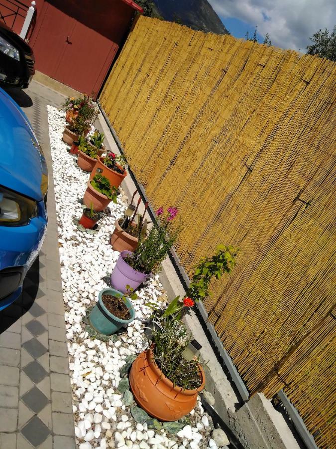 Stella 'S Sea Front Apartments Geni  Bagian luar foto